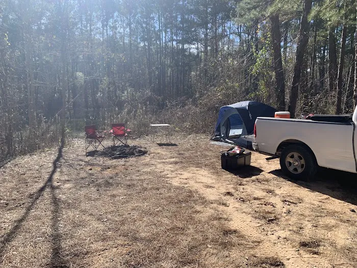 Kelly's Pond Motorized Campground Picture 8