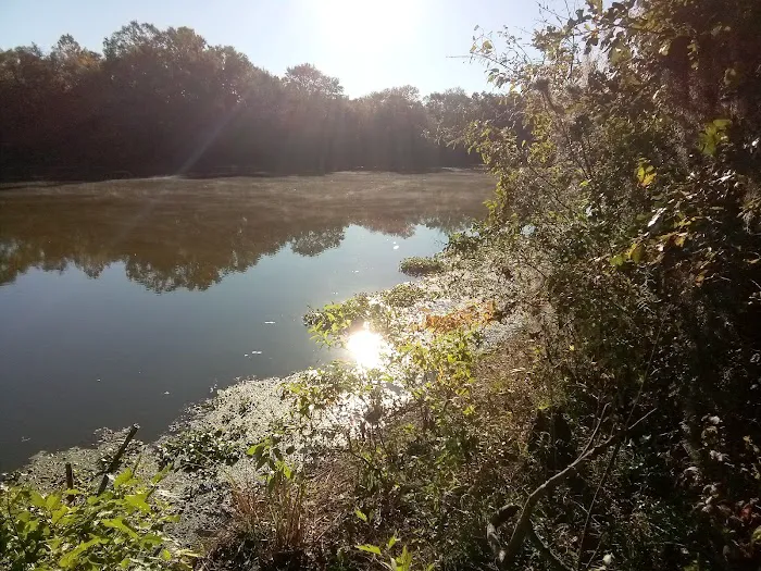 Stubblefield Lake Recreation Area Picture 5