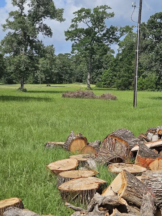 Camp Caney Creek Picture 8