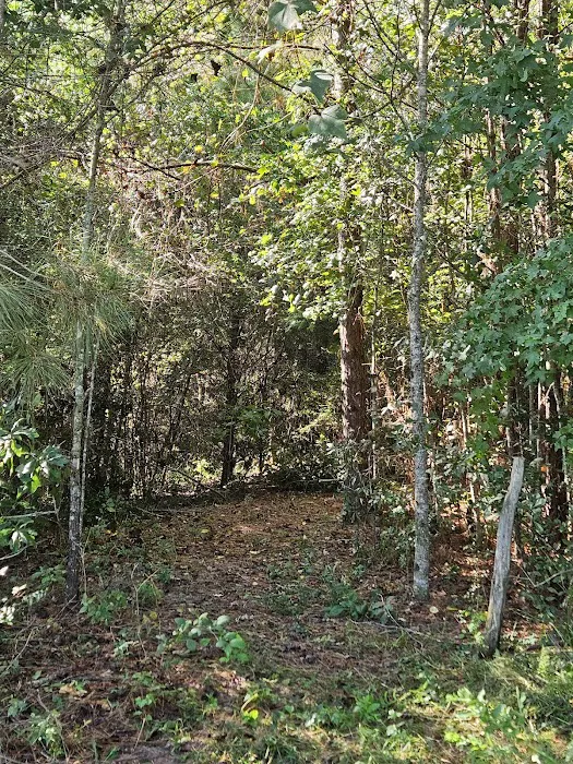 Camp Caney Creek Picture 10