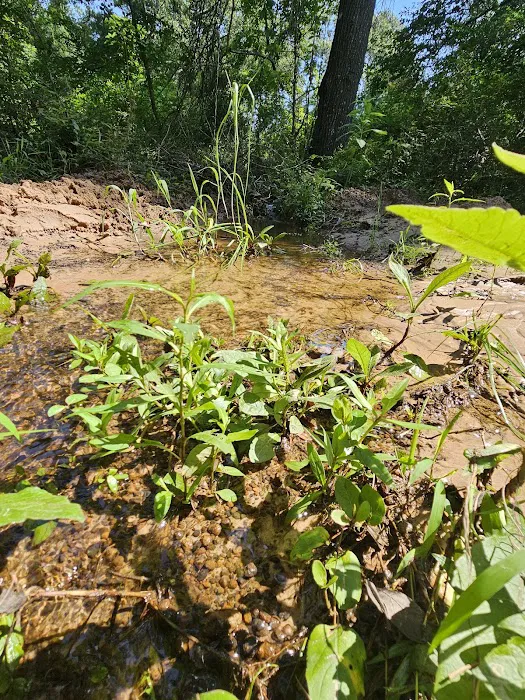 Camp Caney Creek Picture 7