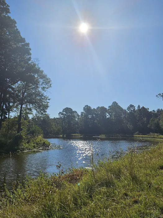 Camp Caney Creek Picture 4