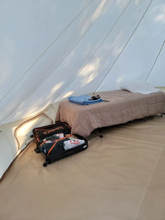 The Fields of New Market Campground Picture 5