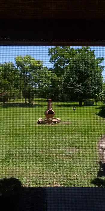 Slice of Heaven Picture 8