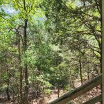 Plum lake Cabins Cabin 5