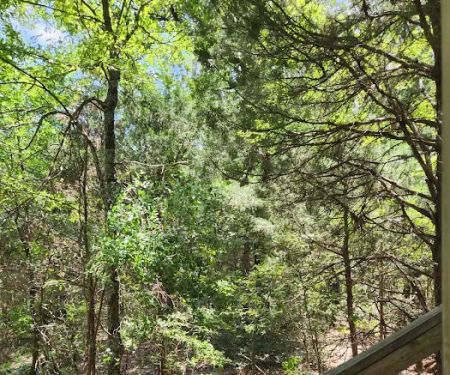 Plum lake Cabins Cabin 5