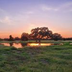 Llamaland Tent Camping