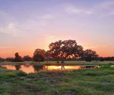Llamaland Tent Camping