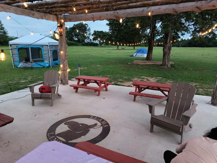 Llamaland Tent Camping Picture 7