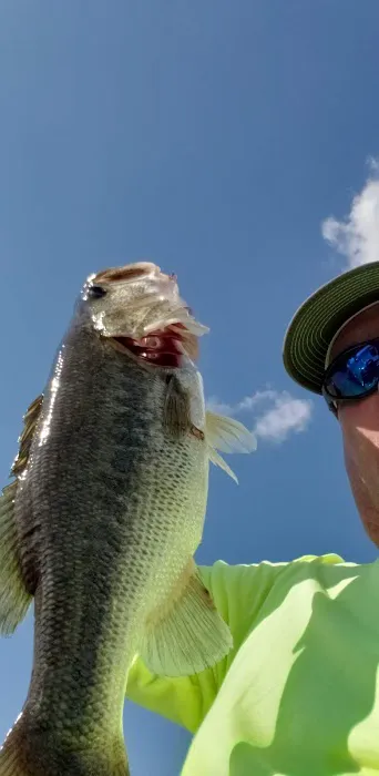 Pelican Point RV Park Picture 2