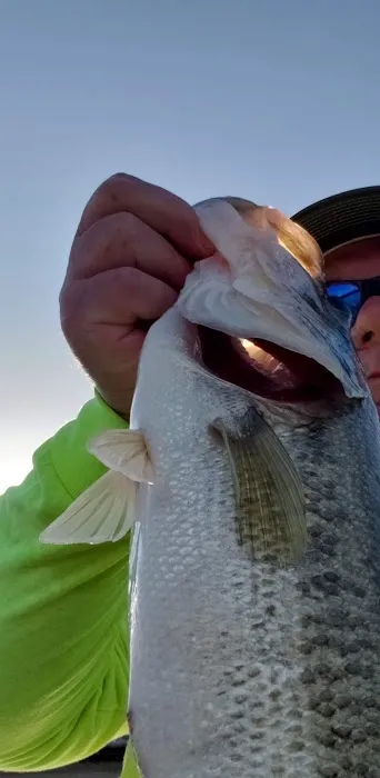 Pelican Point RV Park Picture 3