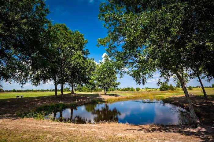 Thousand Trails Lake Tawakoni Picture 8