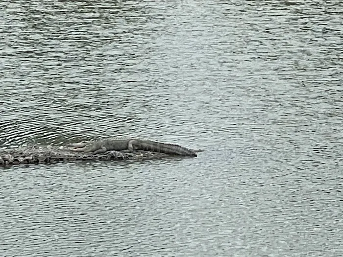 Camp Cinco Picture 5