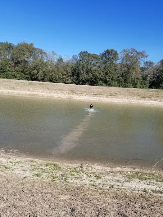 Camp Cinco Picture 1