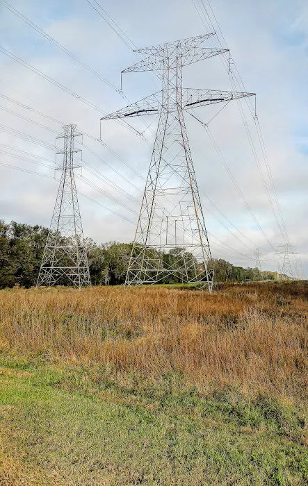 Camp Cinco Picture 10