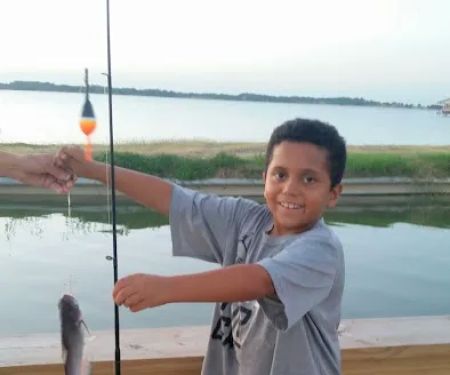 Sunset Cove Marina- Campground & RV Resort