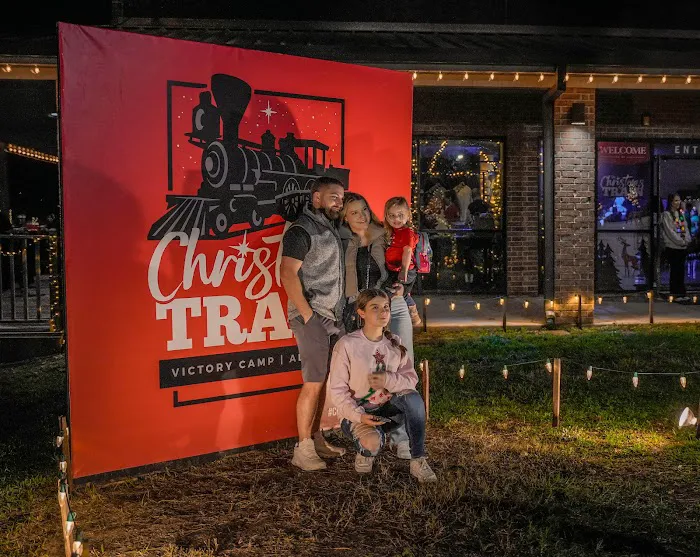 The Christmas Train Picture 8