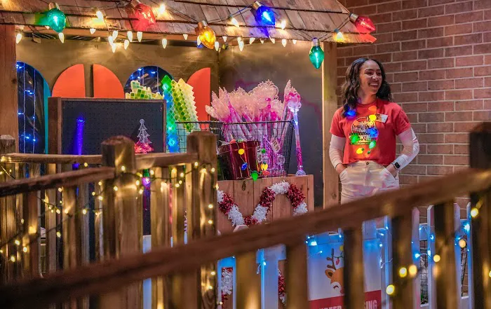 The Christmas Train Picture 4