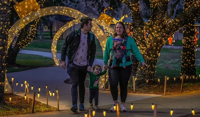 The Christmas Train Picture 7