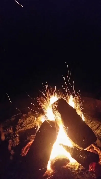Grizzly Pines - Gay Campground Picture 5