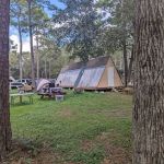 Grizzly Pines - Gay Campground