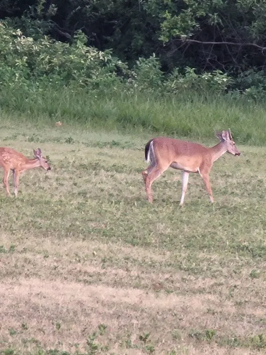 Wolf Creek Park Picture 3