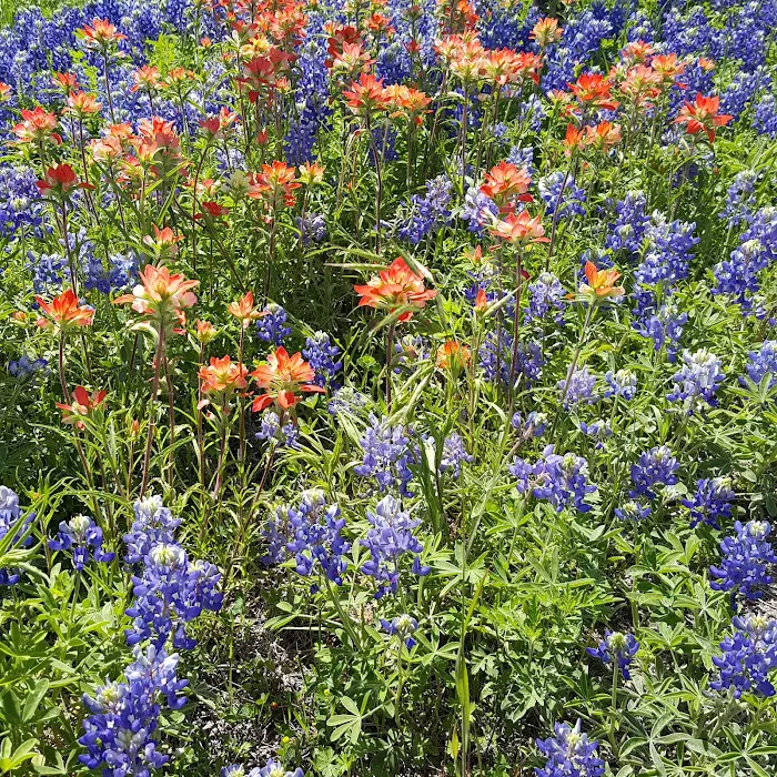 Pecan Point Park Picture 10