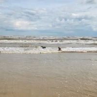 Bolivar Beach ico