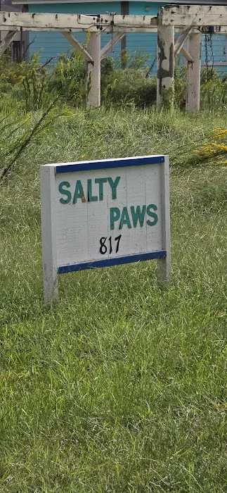 Salty Paws Picture 1