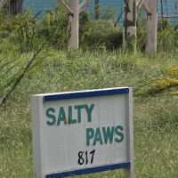 Salty Paws ico
