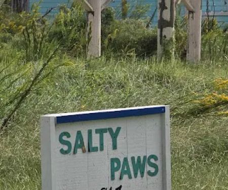 Salty Paws