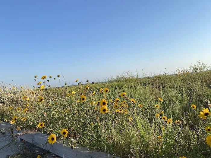 Galveston Island State Park Campgrounds Picture 10