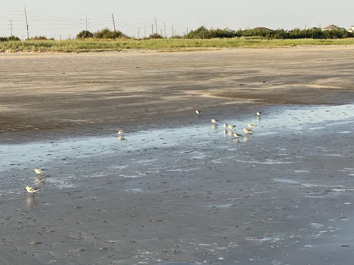 Galveston Island State Park Campgrounds Picture 6