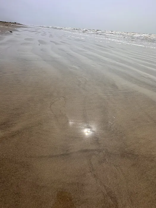 Galveston Island State Park Campgrounds Picture 7