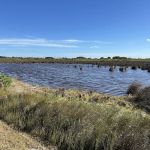 Galveston Island State Park Campgrounds