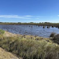 Galveston Island State Park Campgrounds ico