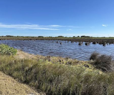 Galveston Island State Park Campgrounds
