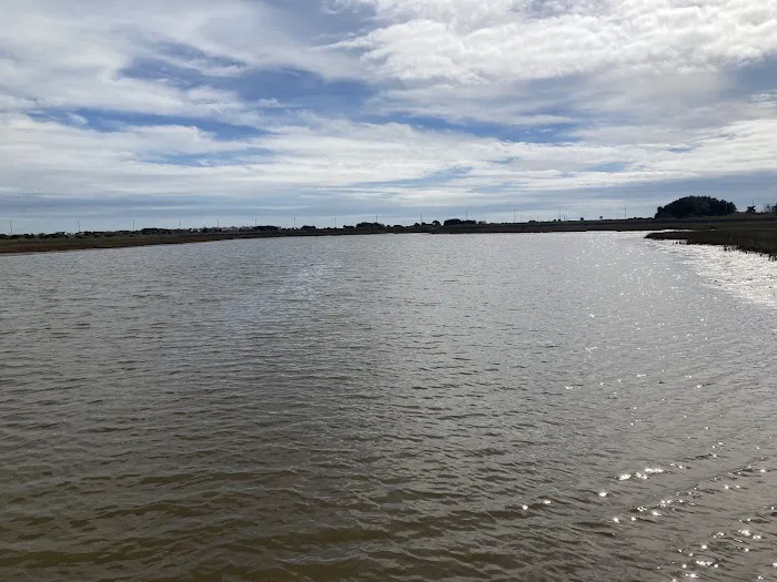 Galveston Island State Park Campgrounds Picture 9