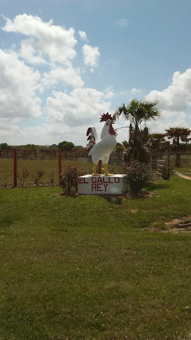 Red Oak Ranch Picture 6