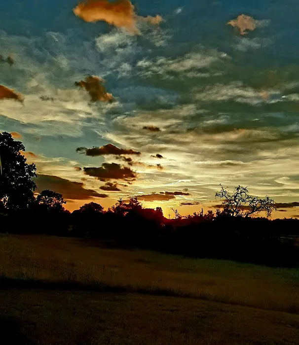 Red Oak Ranch Picture 3
