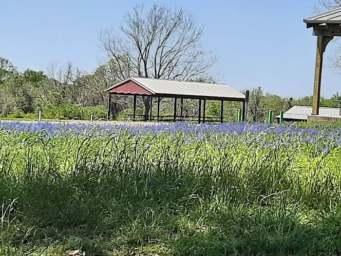 Bovay Scout Ranch - McNair Cub Scout Adventure Camp Picture 8