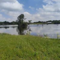 Bovay Scout Ranch - McNair Cub Scout Adventure Camp ico