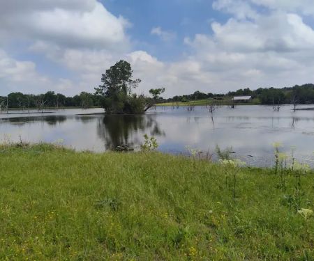 Bovay Scout Ranch - McNair Cub Scout Adventure Camp
