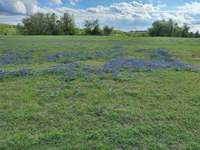Bovay Scout Ranch - McNair Cub Scout Adventure Camp Picture 9