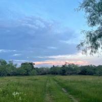 Aquilla Cove at Trinity Trails Ranch ico