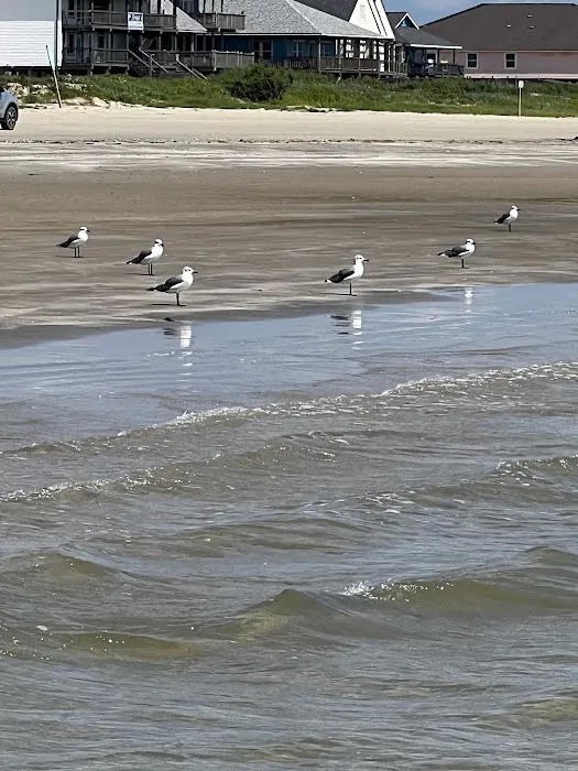 Surfside Picture 5