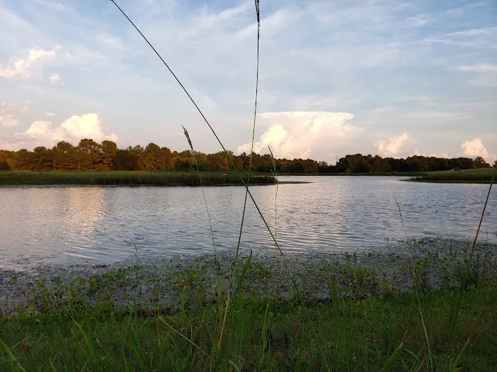 5D Ranch Picture 7