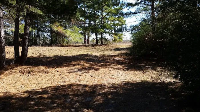 5D Ranch Picture 6
