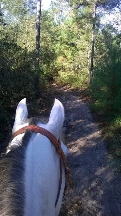 5D Ranch Picture 3