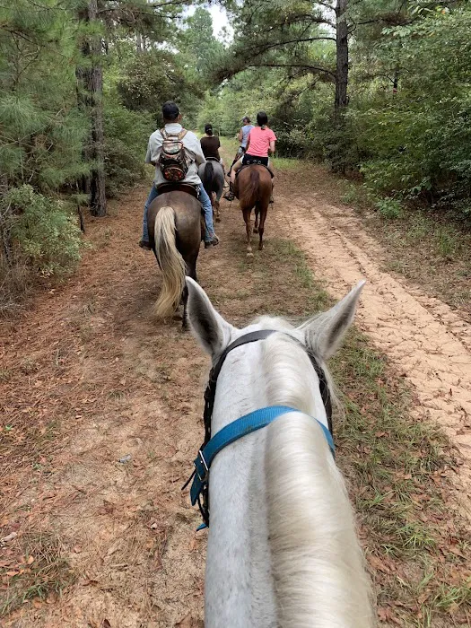 5D Ranch Picture 5